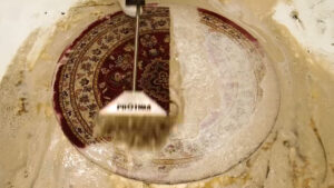 rug cleaning shorts